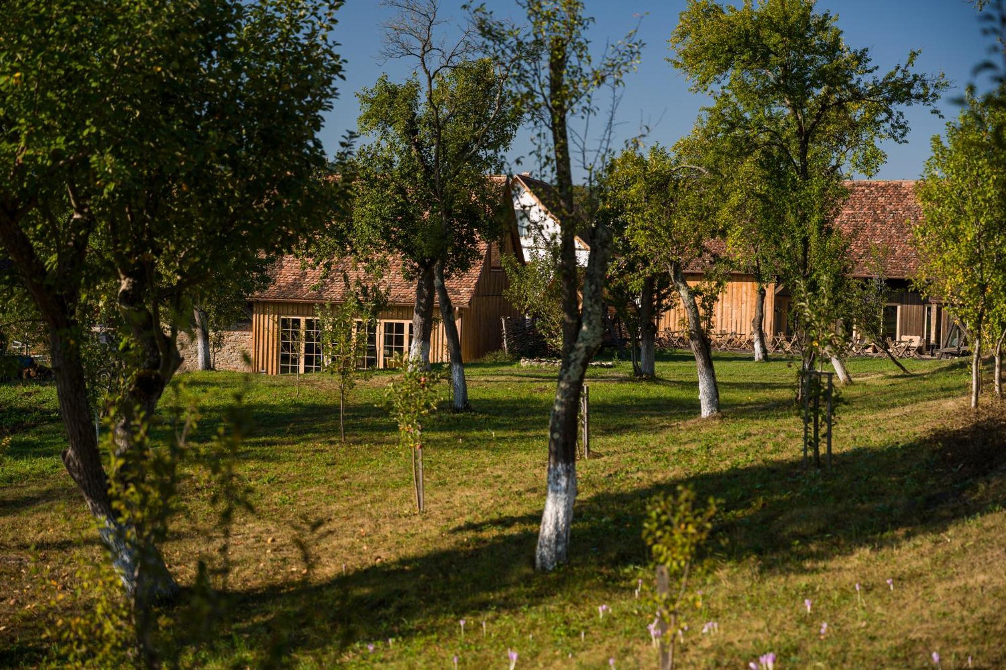 Mesendorf Gasthaus Buitenkant foto